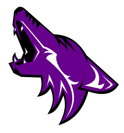 Anna High School 10th Grade Coyotes School Supply List 2022-2023